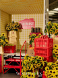 POP UP快讯| ChemistWarehouse美妆集市 - 小红书