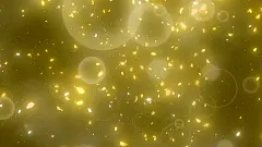 樱花的花瓣