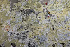 墙,古老的,摇滚乐,布告栏,风化的,墙纸剥离器,撕破的,面无表情