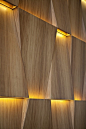 Veneer lighting panels