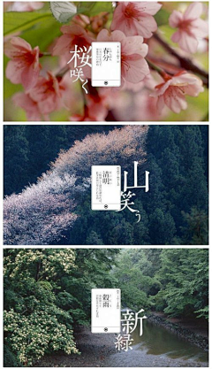 sviwDgPl采集到节气
