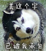 ̶Pure̶采集到萌宠 -  猫 / 狗