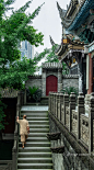 小场景 - 首页 - 微博