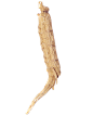未标题-1