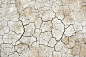 Soil Ground Background One | Photo Texture & Background