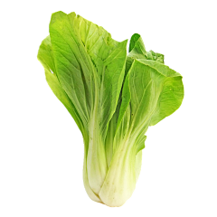 到钅イォァ稽ァ底采集到白菜