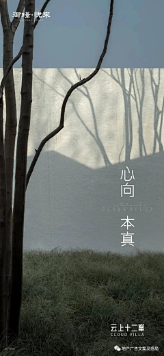 我是你口中的笨蛋采集到地产 别墅豪宅
