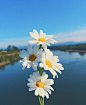 面朝大海 春暖花开 ☀️ ​​​​