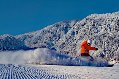 橘枳子采集到西岭雪山