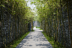 黄玮宁采集到园路