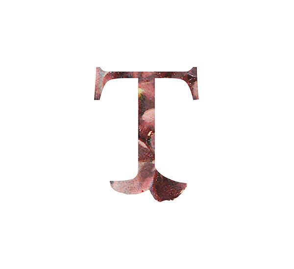 字母t #字体设计