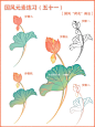 国风插画 | 荷叶与荷花的画法！