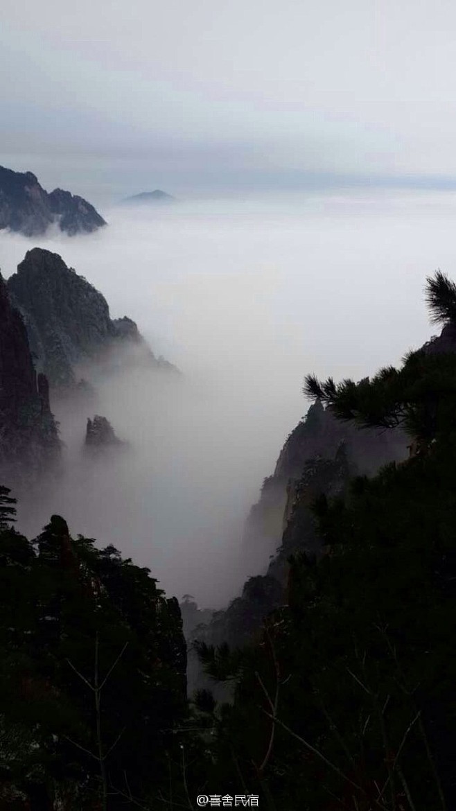 今日黄山：云海雪景，配怪石奇松（手机作品...