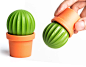 Cactus : Bring the desert to your home with this stylish salt and pepper shaker designed like a barren desert cactus.  The cactus is for salt, and the pot is for pepper, with a touch of these spices, each meal will taste better.  Instructions: The cactus