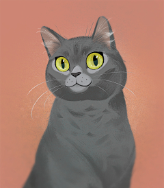 mmmm提线小木偶采集到猫咪