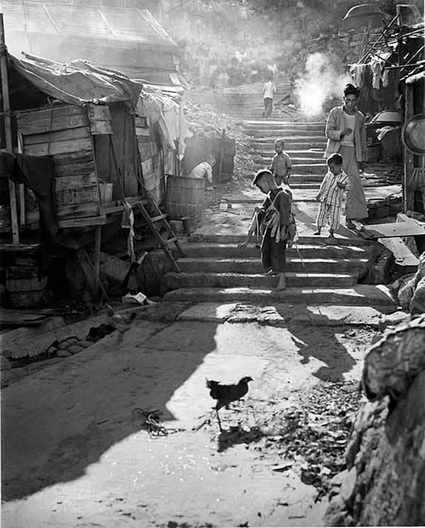 黑白照片老香港回不去的街头生活 [33P...
