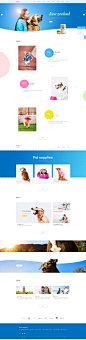 mo004_2802-宠物用品类网站
