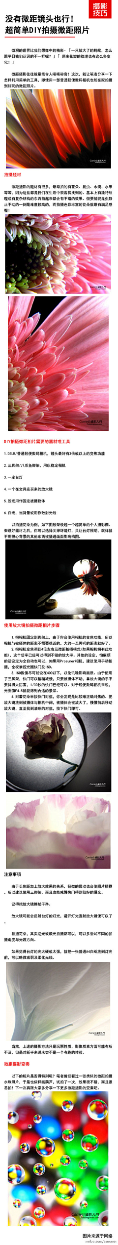 An/gu＇st｜天采集到摄影技巧