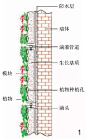 垂直绿化应用案例、方法、植物全解析，不得不看！