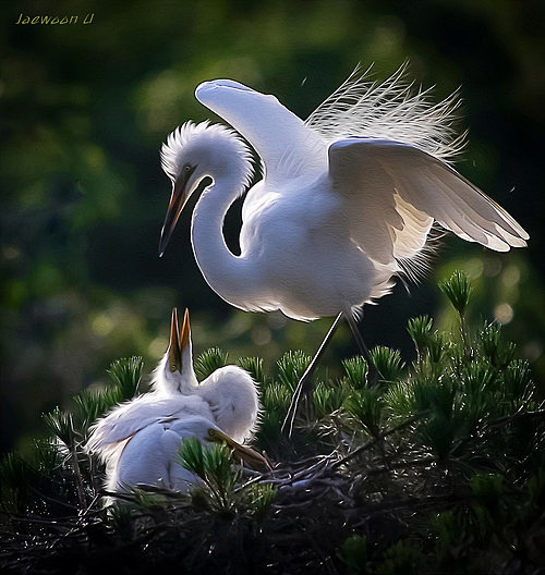 via 500px  LOVE by J...