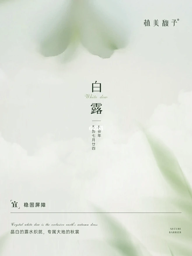 白露|浸染秋意