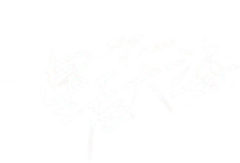 妖妖_oO采集到字体