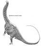 分享一些解剖参考_看图_恐龙绘画吧_百度贴吧