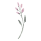 水彩手绘花卉PNG免抠图