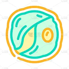 小球藻海藻颜色图标矢量插图