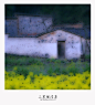 江南，烟雨轻轻，桃花落院，荷柳池塘。
    看山川秀丽，闻田园花香，听了一夜雨声，绿了一圈的青山流水，暖了一日的春光，催醒了三里烟波巷口。阳春春雨如丝，是春光卸去了冬的寒冷，是春雨湿润了干爽的大地，是春风吹绿了杨柳、粉艳了桃花。三里路的巷口，闻到的是十里外的芳菲。