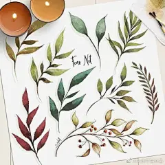 水彩---叶子 - 高清图片，堆糖，美图壁纸兴趣社区