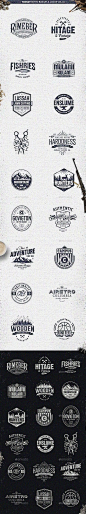 复古徽章logo设计合集 ​​​​