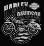 Harley-Davidson (10)