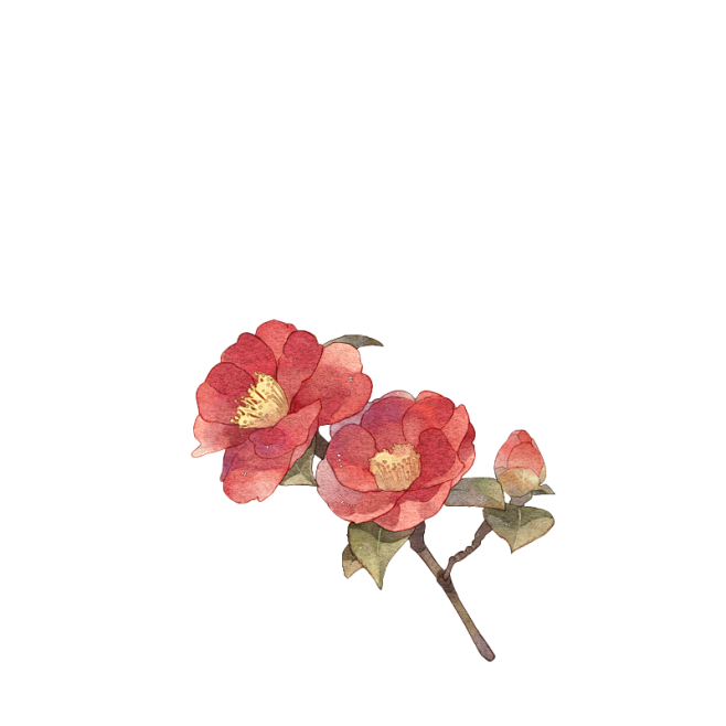 终有见//：花虫鸟草&古风免扣_看图_岑...