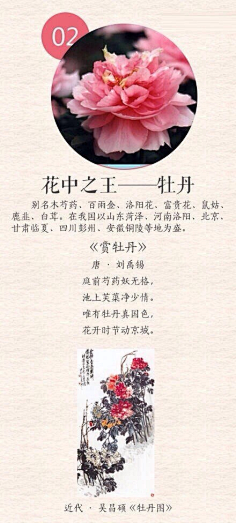 com采集迪迪葳采集到diy花语【 中国传统 十大名花… 】weibo.