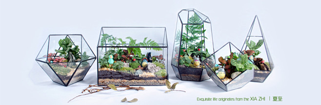 夏至summerz苔藓微景观生态瓶创意礼...