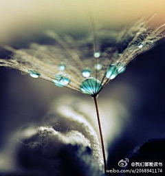 挥戈·波特采集到e
