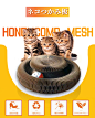 猫玩具 风琴猫抓板 亚马逊主图排版