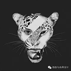 I&amp;B插画丨接点单子吧！别再意淫了