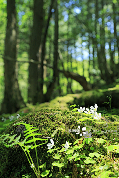 老蚊公采集到风景 山脉 山峰