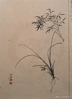 胡正言 珍贵《十竹斋画谱》，徽州休宁人。字曰从，别号十竹主人、默庵老人，（1584--1674）曾官中书舍人，入清后不仕，三十岁后移居金陵（今江苏南京）鸡笼山侧，专心从事刻书、藏书之事。因所居房前院内种竹十余竿，故室号为十竹斋。