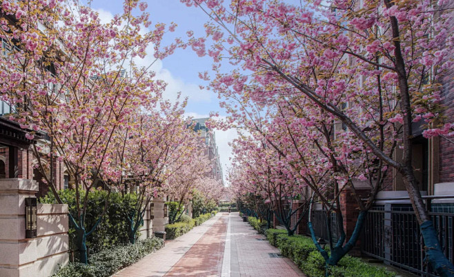 品质为基·生活至上 | 旭辉全龄实景生活...