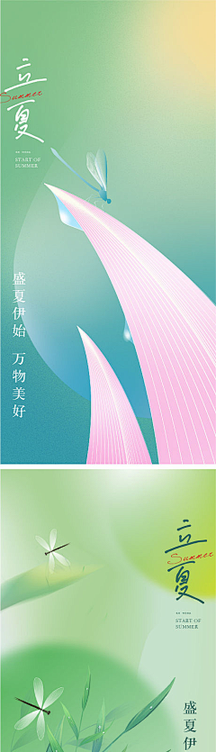 越难以南采集到节气、节日