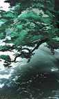 @-草田君- 的个人主页 - 微博