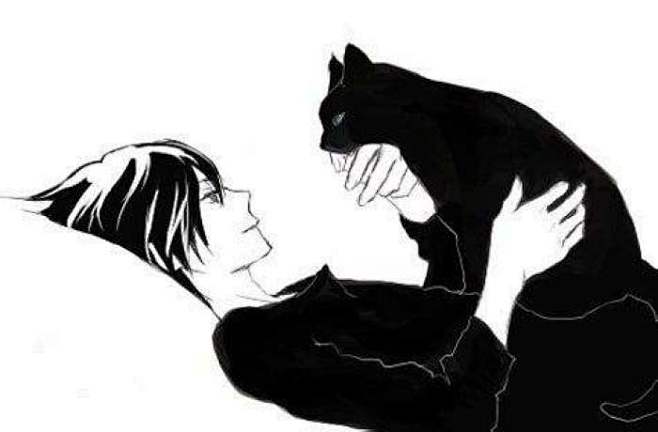 男头黑猫