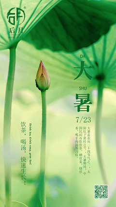 小燕-伊尚文化2采集到节气（立冬、小雪、白露、大暑、处暑、夏至、芒种、小满）