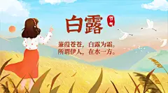 白露节气祝福白鹭鸟手绘横版海报