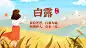 白露节气祝福白鹭鸟手绘横版海报
