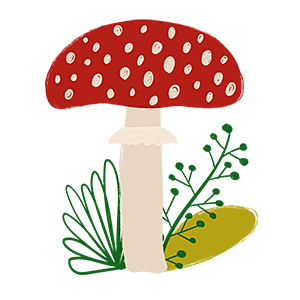 蘑菇插画 PNG免抠图