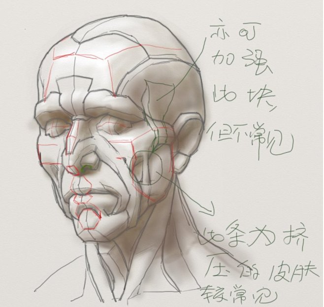 造型逻辑课程之一《头部研究》 - 长微博